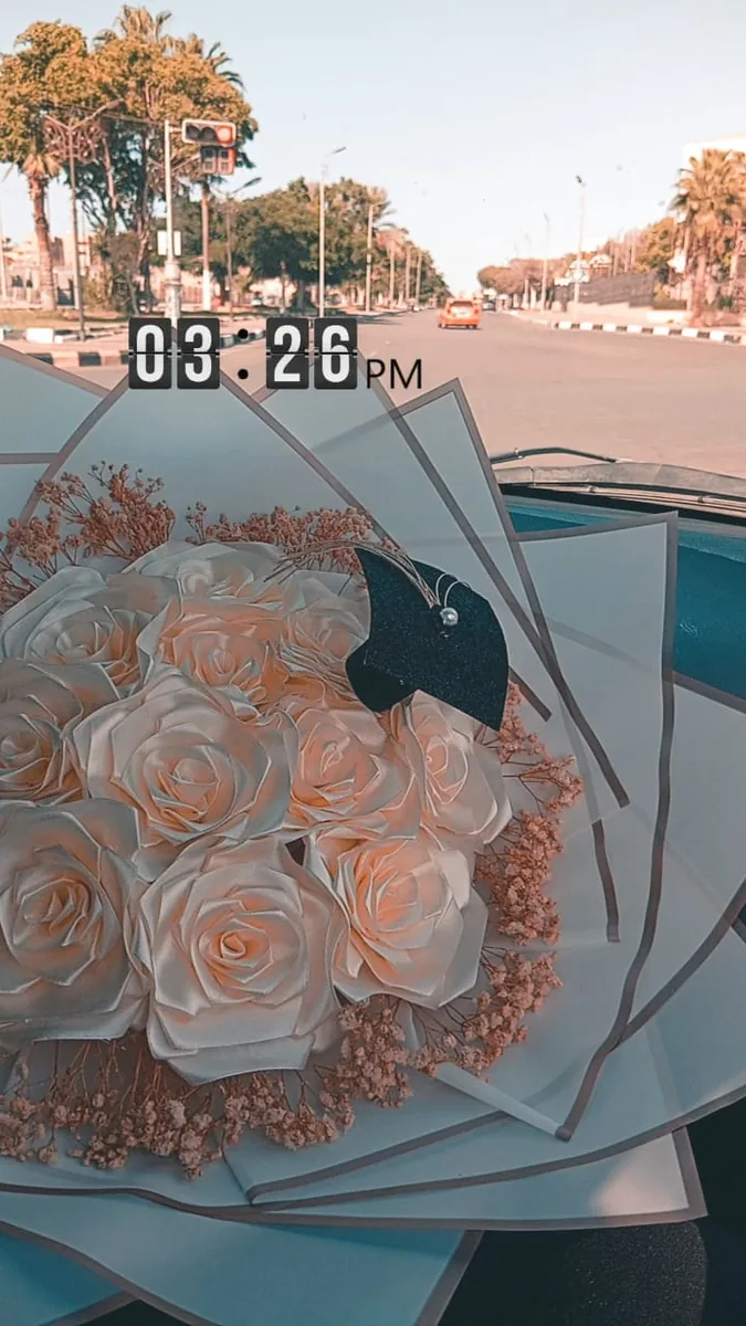 تصميم روزيل رقم 29